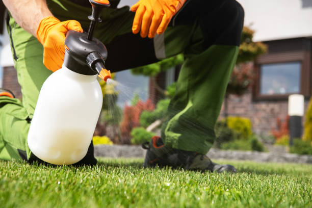 Best Rodent Control Near Me  in Steelevle, IL