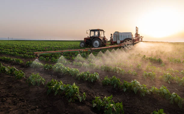Best Pest Control Near Me  in Steelevle, IL