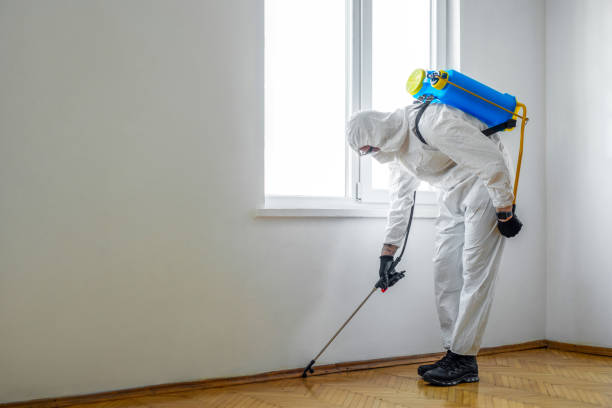 Best Local Pest Control Services  in Steelevle, IL